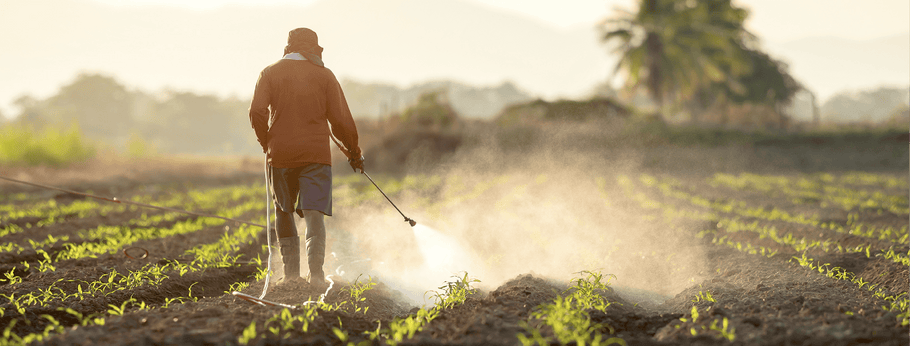 Harvesting Season: How Pesticides Create Air Pollution