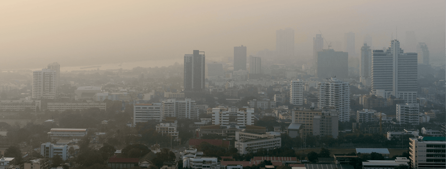 Calculating the Hidden Costs of Air Pollution