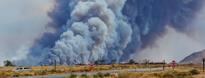 How Does Wildfire Smoke Travel?